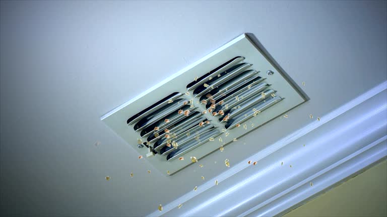 Best Affordable Air Duct Cleaning  in Burgettstown, PA